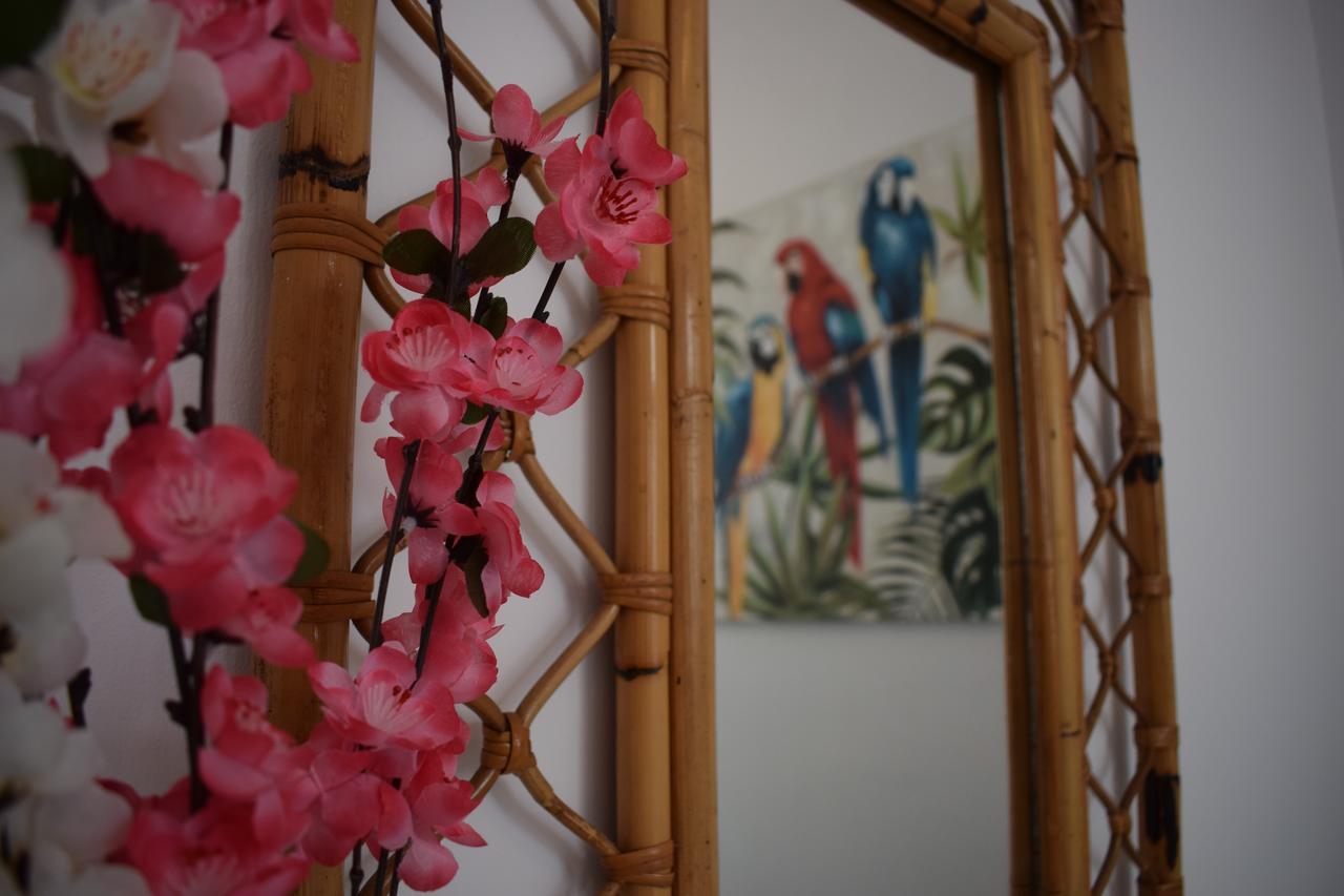 Casa Cinzia Bed & Breakfast Las Palmas de Gran Canaria Exterior photo